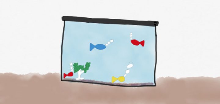 A fish tank with fish