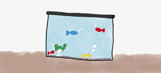 A fish tank with fish