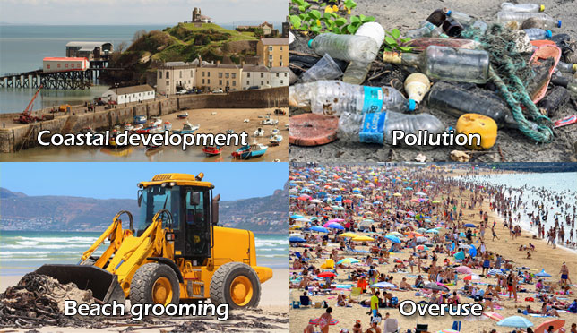 Impact of humans on the coastline