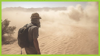 Sandstorm