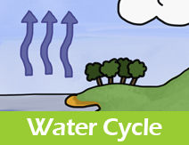 The Water Cycle