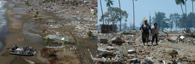 Impact of tsunamis on environment