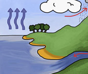 Super Brainy Beans Water Cycle page