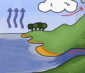 The water cycle