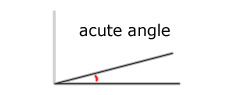 Acute angle