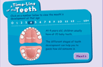 Teeth Timeline