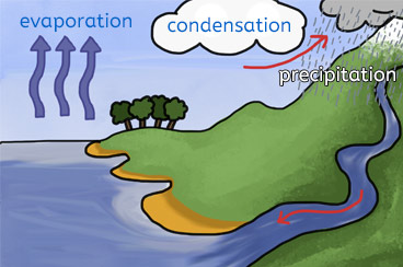 Water Cycle