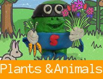 Plants & Animals