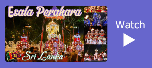Perahera video