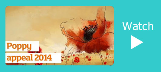 Remembrance Day video