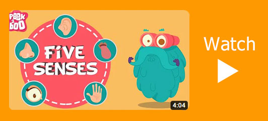 Senses video