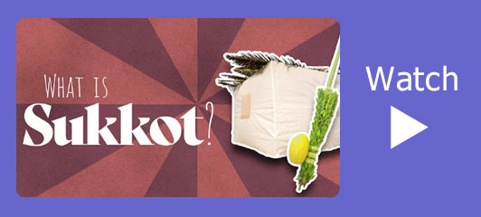 Sukkot video