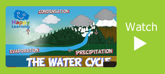 Water Cycle video
