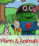 Plants & Animals